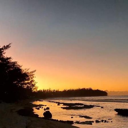 Moorea Temae Bungalow Lory Bord De Mer Exterior foto