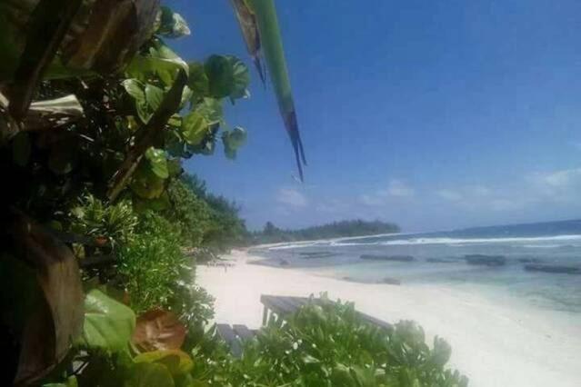 Moorea Temae Bungalow Lory Bord De Mer Exterior foto